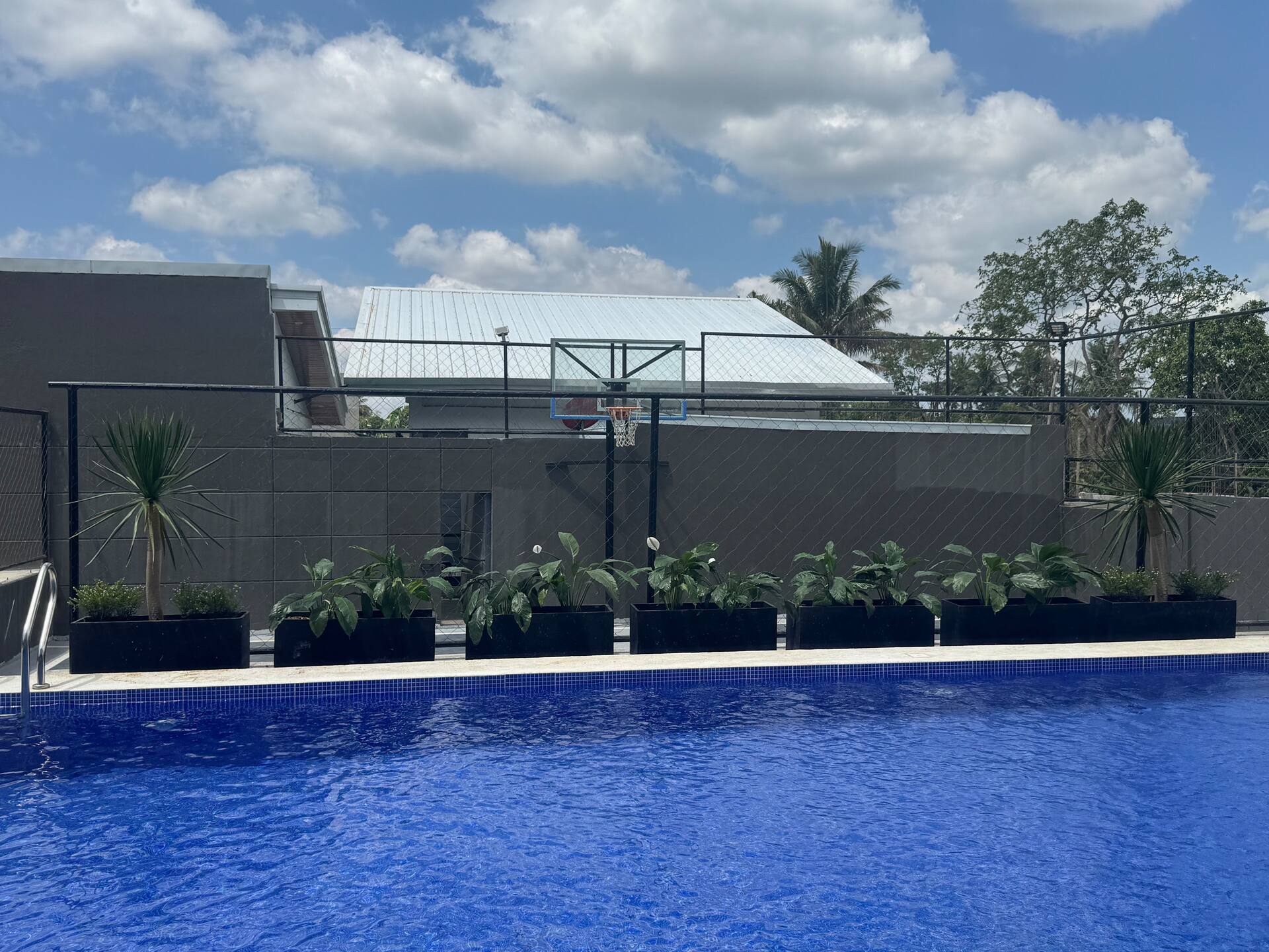 Perimeter Swimming Pool Garden Border with Tropical Palms