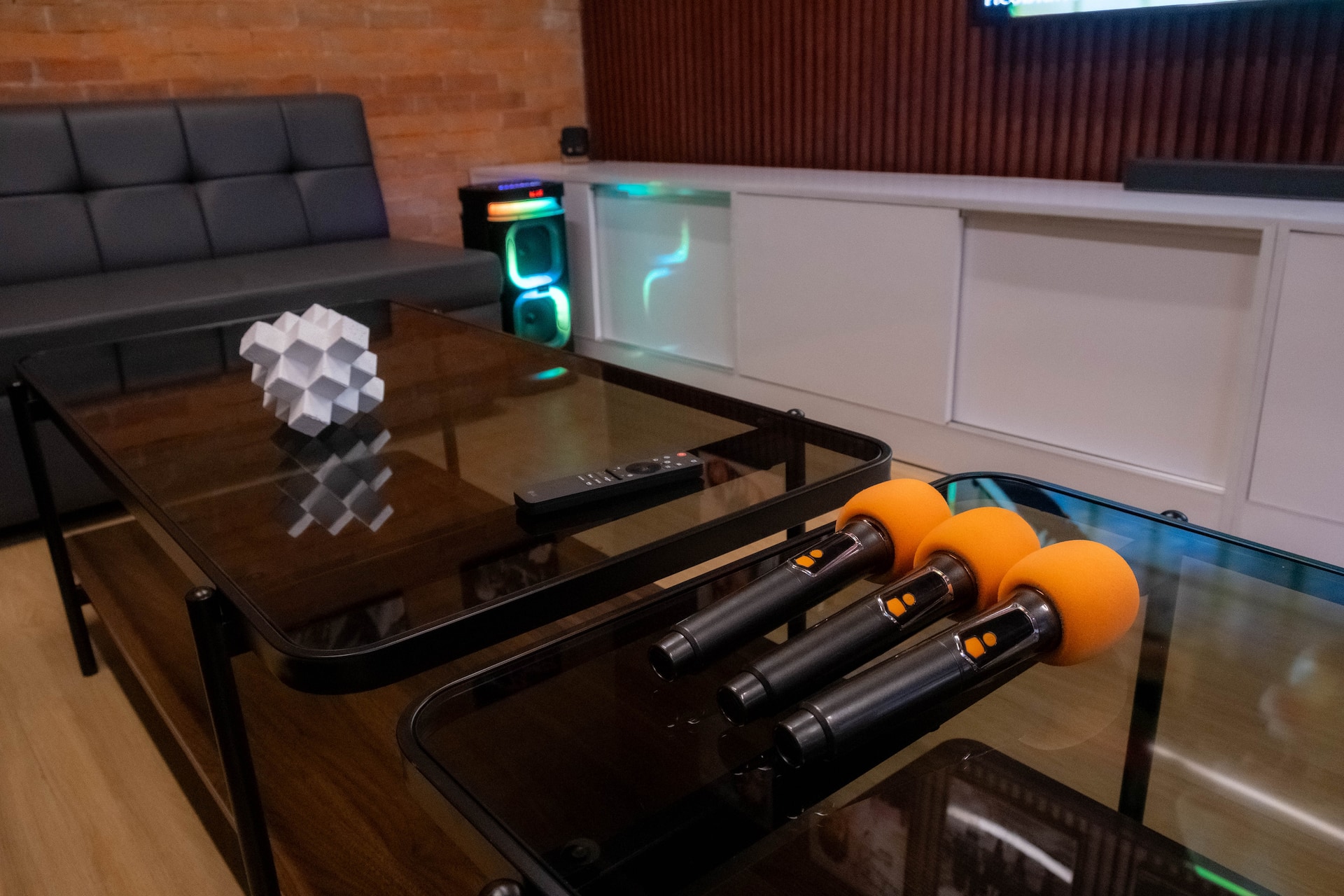 Professional Wireless Microphones & KTV Setup